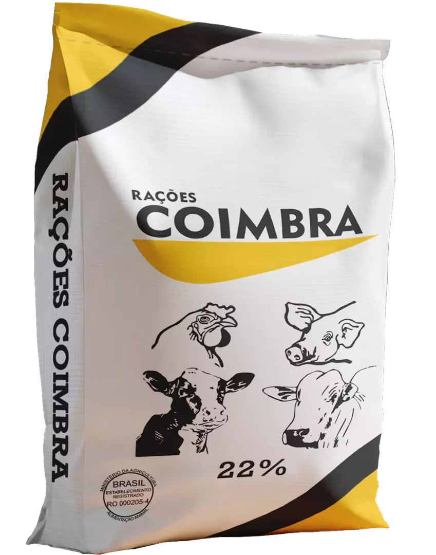 Imagem de Coimbra 22 AE