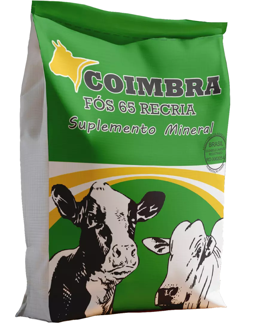 Imagem de Coimbra Fós 65 Recria