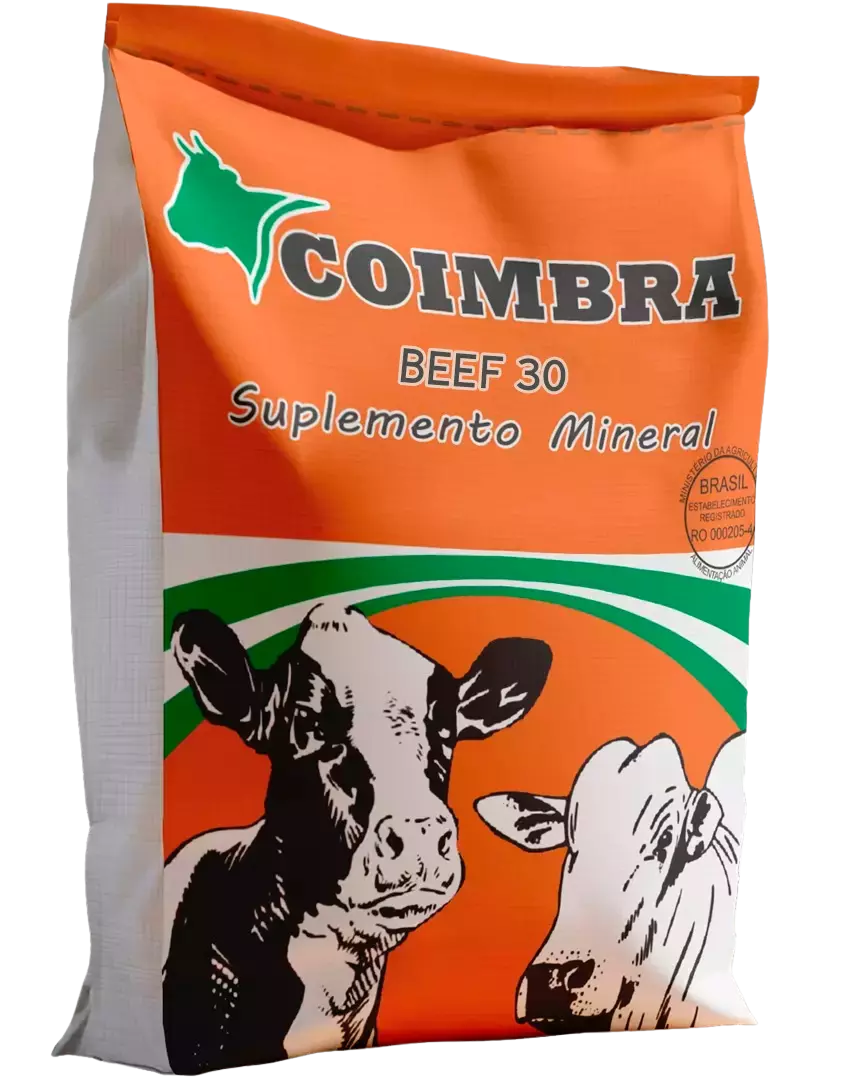 Imagem de Coimbra Beef 30