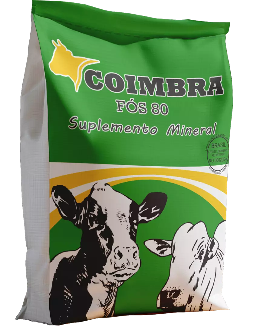 Imagem de Coimbra Fós 80