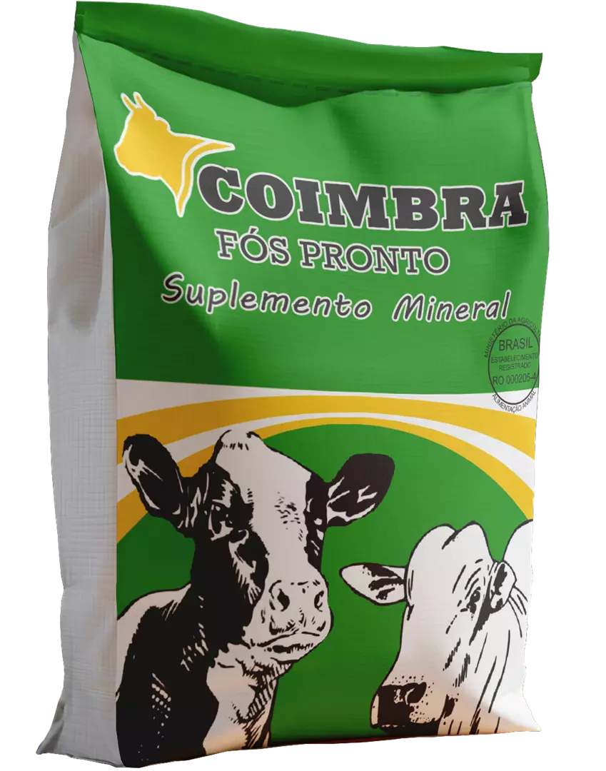 Imagem de Coimbra Fós 45