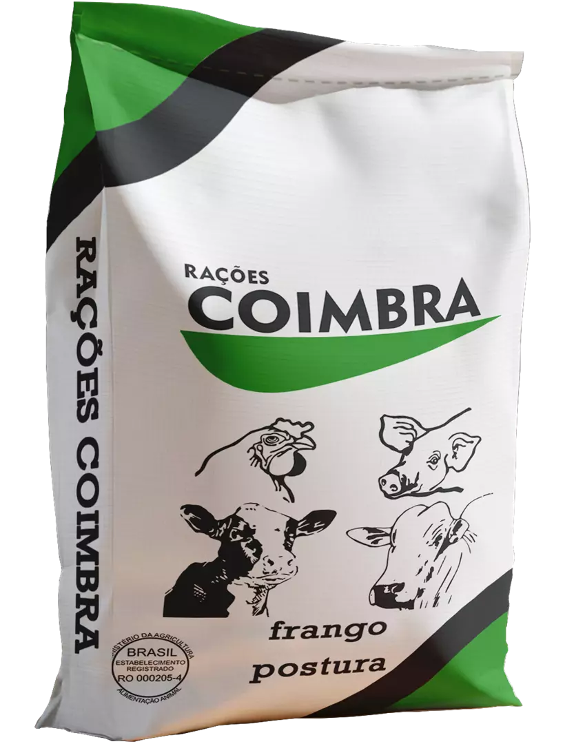 Imagem de Frango Postura