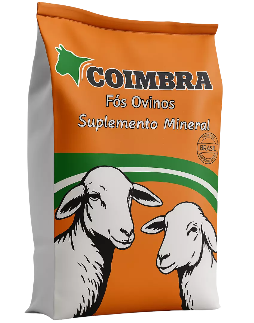 Imagem de ovinos Proteico